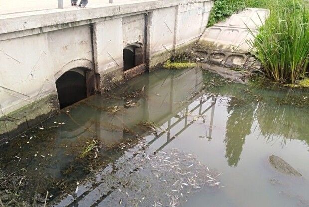 У Луцьку поширився неприємний запах через зруйновані вандалами шандори на шлюзі