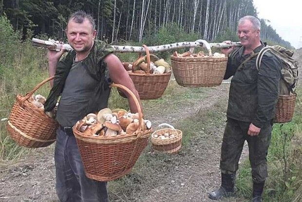 «На заздрість всім у нас гриби ростуть і на асфальті!»