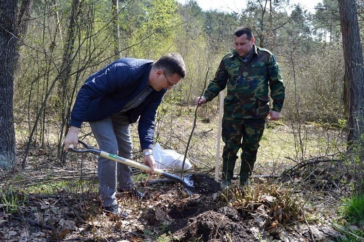 Організатори декларували, що протяжність алеї становитиме 5 км 600 метрів, але перевершили заявлену відстань.