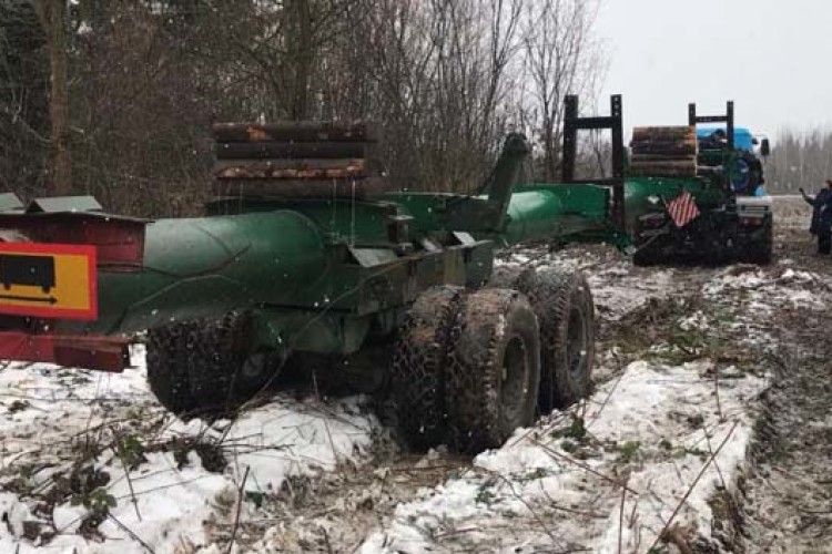 Головна ялинка країни вирушила з Івано-Франківщини до столиці