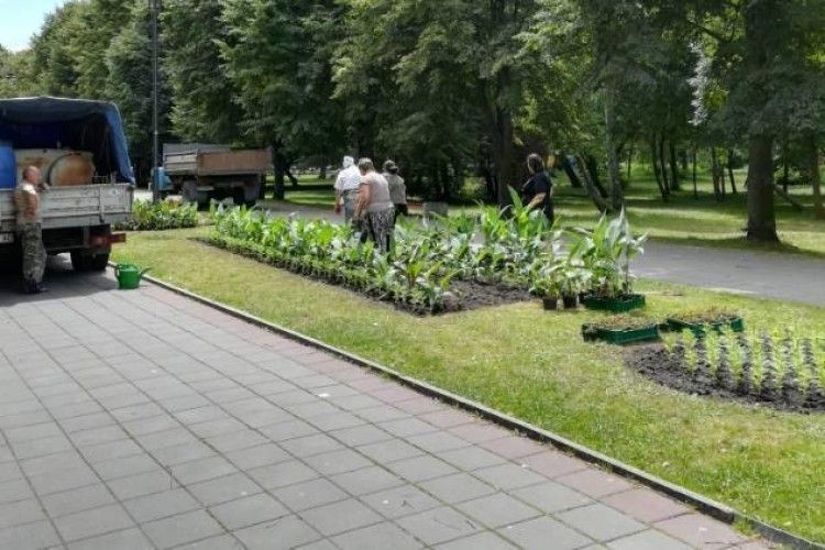 Парк у Луцьку розквітає новими барвами (ФОТО)