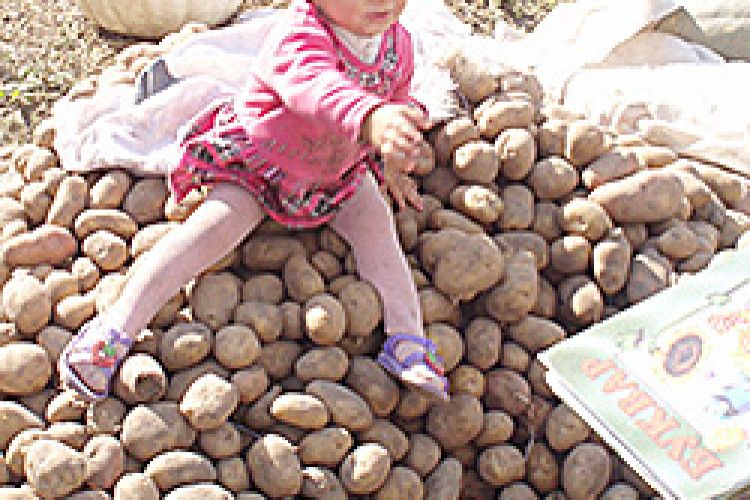 ФОТО НА КОНКУРС: у Настусі все за планом