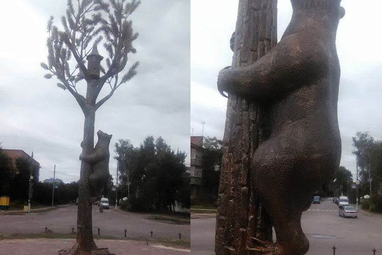 На центральній площі здоровезний ведмідь поліз на сосну за медом (фото)