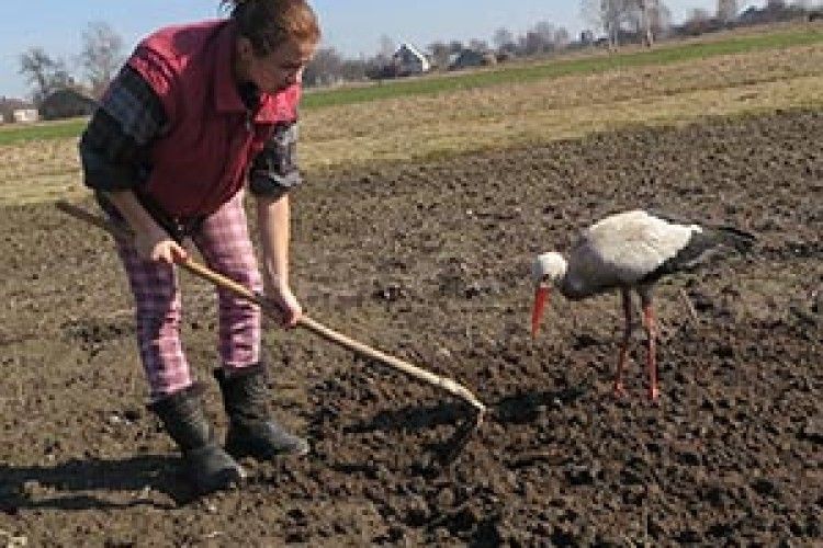 ФОТОФАКТ: Миколай приніс бусла