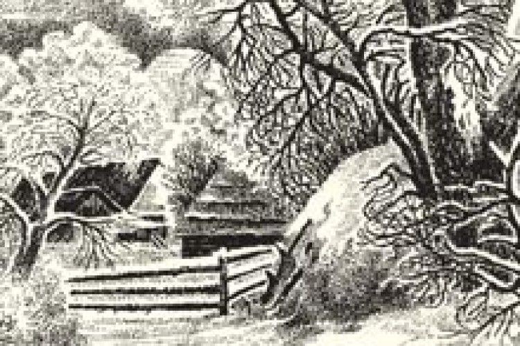 «У НАШОЇ БАБУСІ ТРИ ВЕСЕЛИХ ГУСІ»