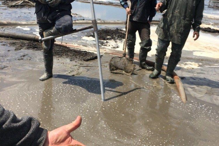 Бурштинокопачі продовжують на усіх чхати (фото)