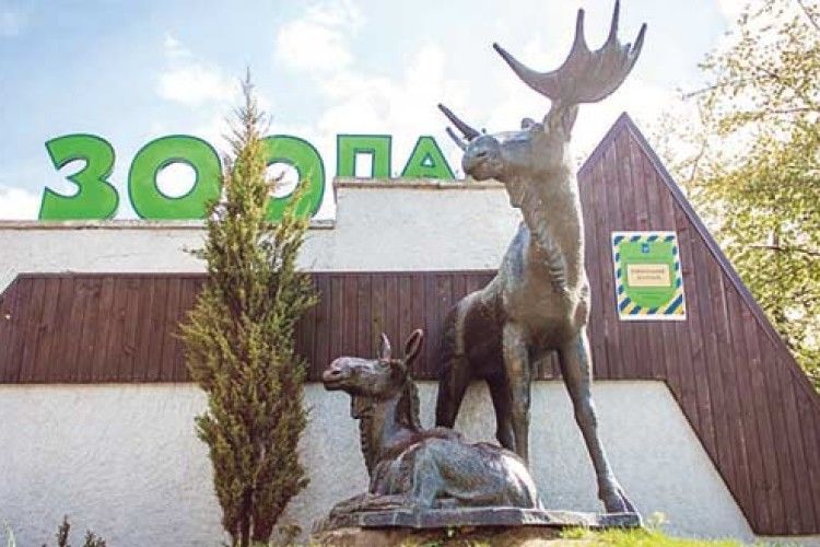 А–а, мавпи, тигри і єноти, А–а, зебри, ему і койоти, А–а, ще й зелений папуга…