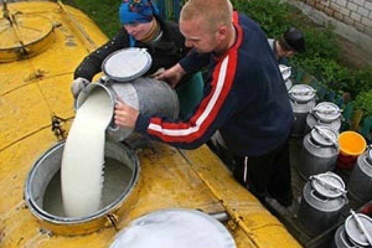 СЕЛЯНИ ПІДОЗРЮЮТЬ МОЛОКОПЕРЕРОБНИКІВ У ЗМОВІ