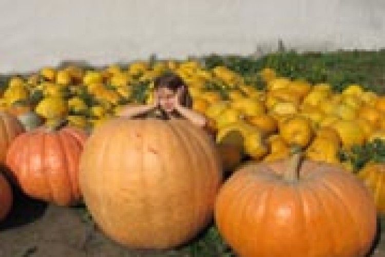 ФОТО НА КОНКУРС: дівоча дума