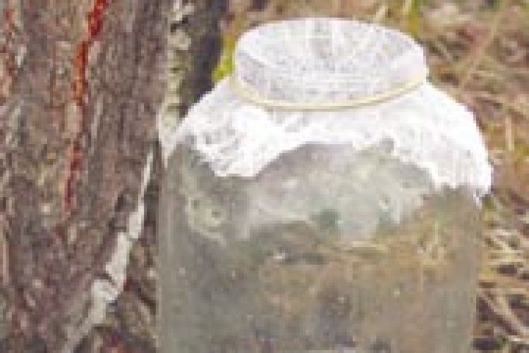 ПОГОДА: знову трохи задощить...