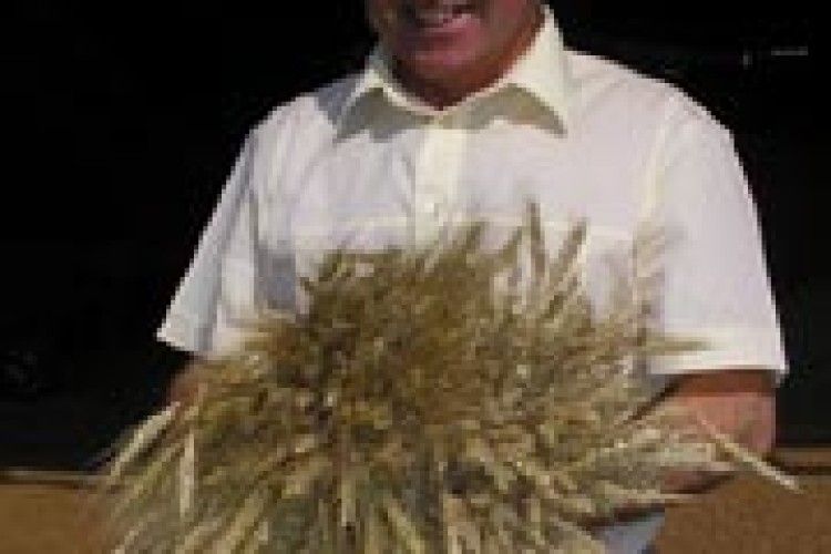 СОЦІАЛЬНІ ВИТРАТИ ЗНИЖУЮТЬ ІНТЕРЕС ДО ПРАЦІ