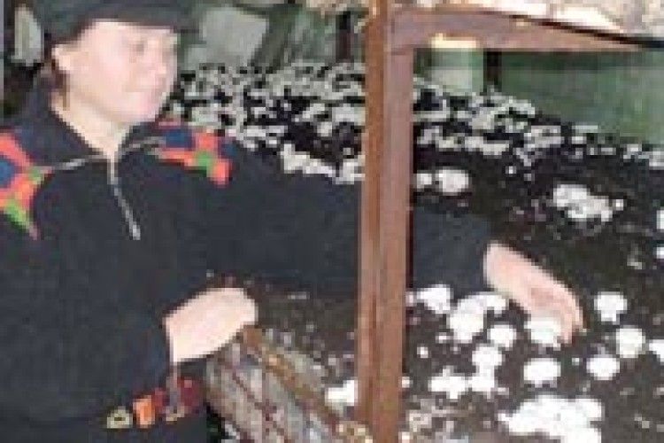 У «ЗИМОВІЙ АГРОШКОЛІ» КАНІКУЛ НЕ БУВАЄ