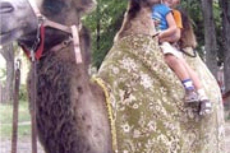 ФОТО НА КОНКУРС: двоє між двома горбами