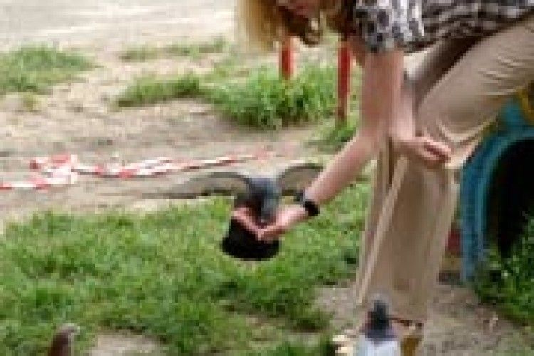 ФОТО НА КОНКУРС:хто сміливий — той і їсть