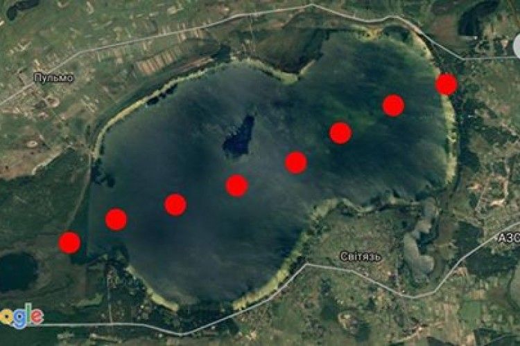 Гузь попливе через Світязь