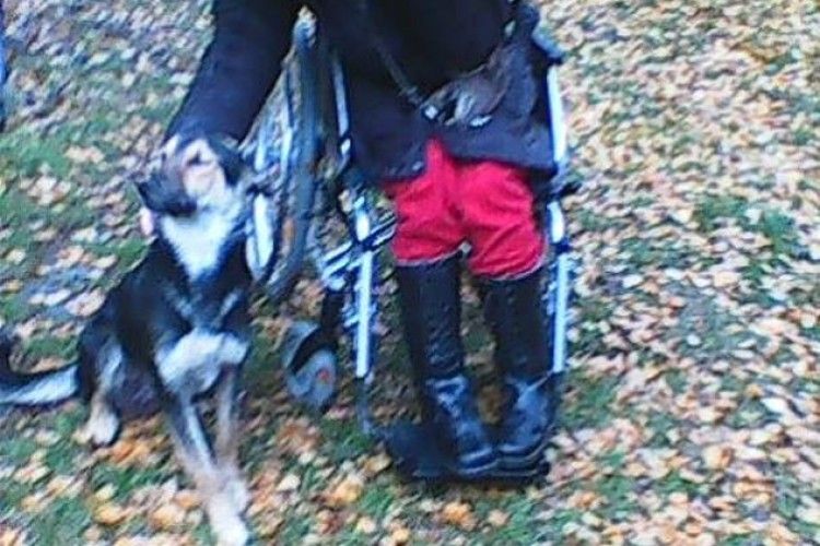На Волині жінка-інвалід, яка сама потребує догляду, турбується про 8 щенят та їхню маму