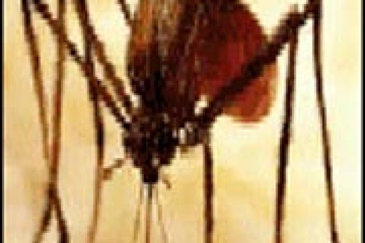 ЗА КОРДОНОМ МОЖНА Й МАЛЯРІЮ ПІДЧЕПИТИ