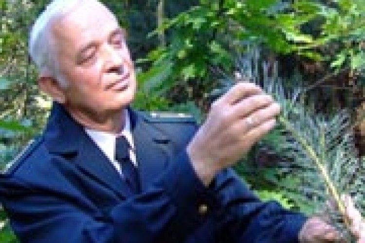 ВОНИ ДАЮТЬ ЖИТТЯ НОВИМ ЛІСАМ