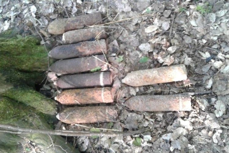 На Волині знайшли мінометну міну та 16 артилерійських снарядів (фото)