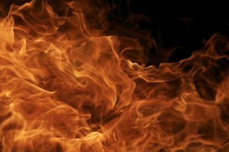Юна волинська журналістка допомогла відбити у червоного півня сусідську хату