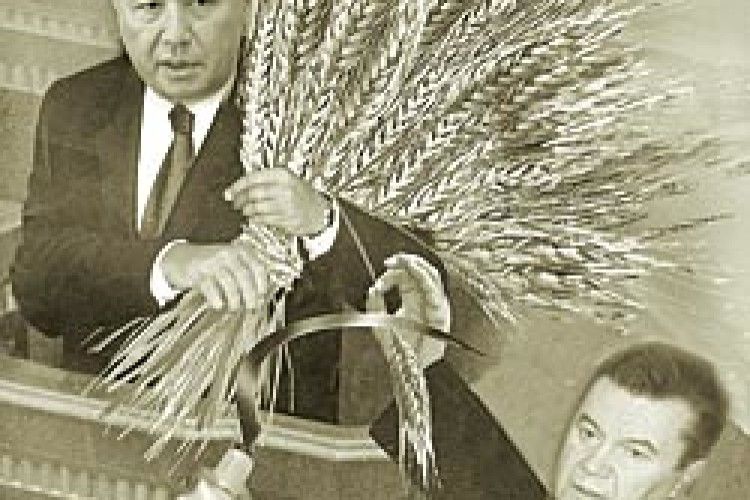 РИНОК ЗЕРНА: ЩО ОБІЦЯЛИ І ЩО МАЄМО