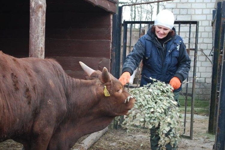 Протягом року мешканці Рівненського зоопарку з’їли 26 тонн м’яса і 35 тонн моркви