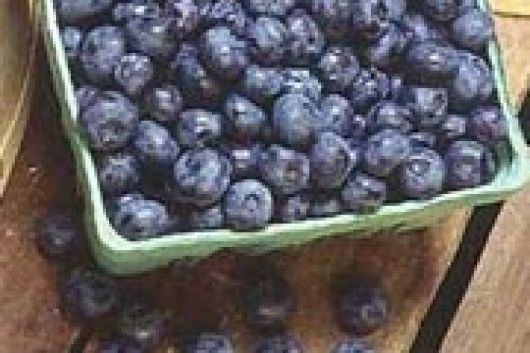 ТАКІ ДОРОГІ ЛІТНІ ВІТАМІНИ