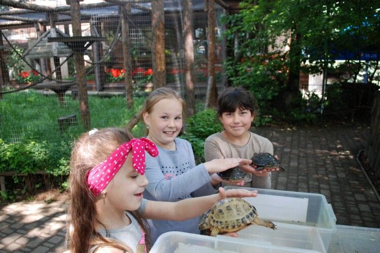 У Рівненському зоопарку відшумів День черепах (фото)