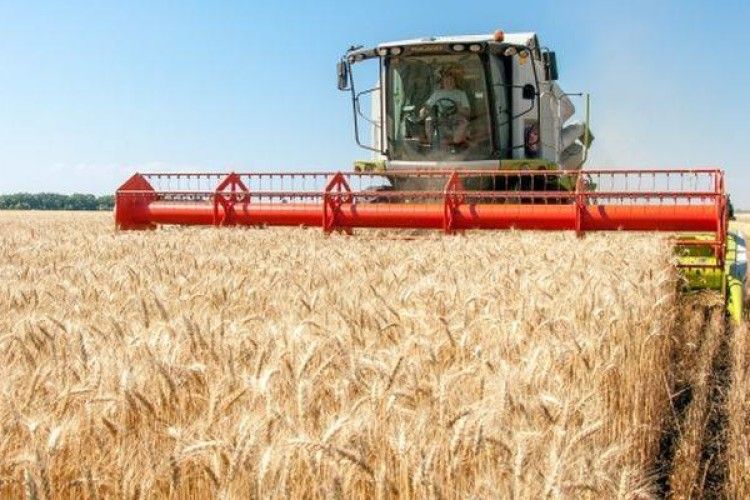 Як жнивує Володимир-Волинський район