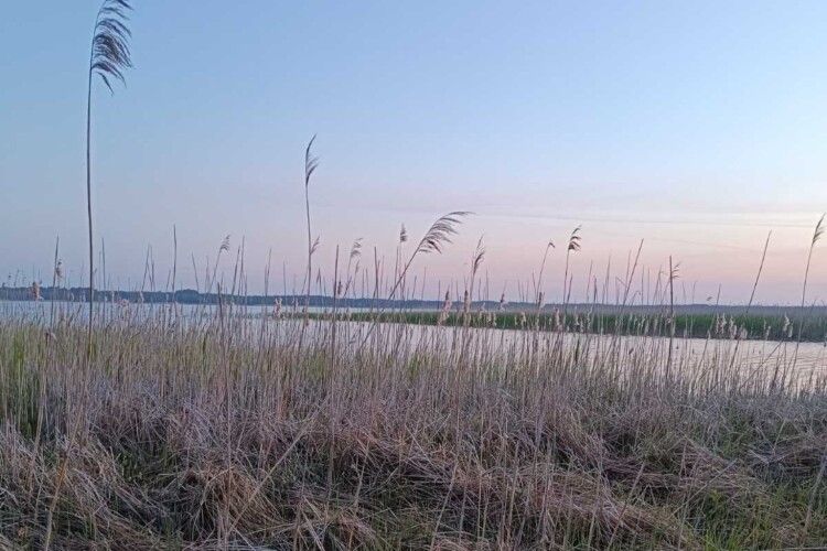 На Волині виявили сотні метрів браконьєрських сіток