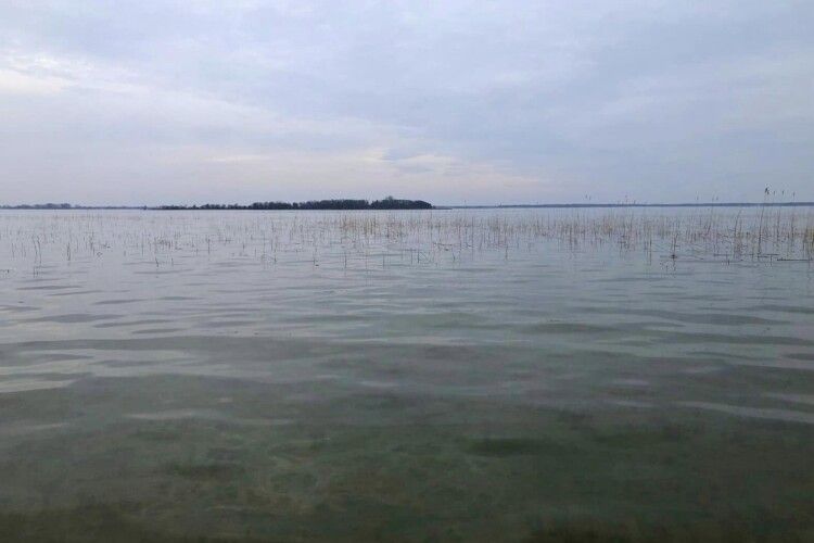 Найбільше озеро у Волинській області – Світязь – цього року повноводне