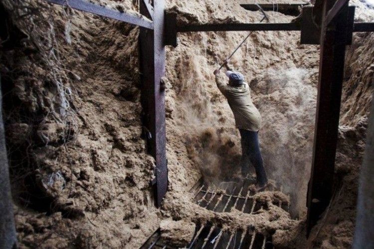 Амбітні плани Гнідавського цукрового заводу