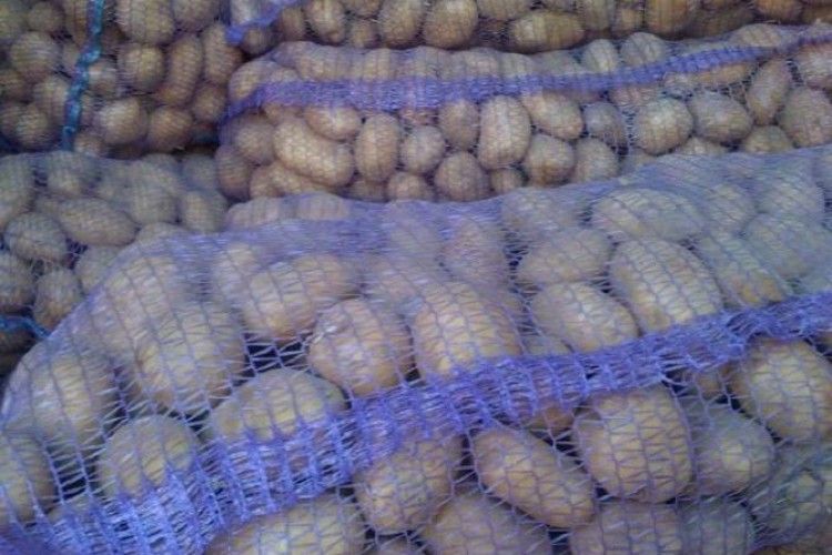 Житель Горохівщини 10 мішків картоплі «збирав» не на АТО…