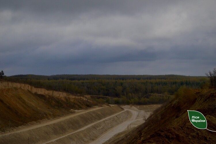 На Рівненщині висаджують 40 тисяч саджанців на місці видобутку крейди 