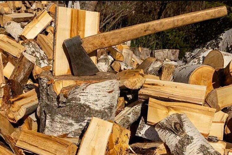 Поліцейські встановили шахрая, який начебто продавав дрова