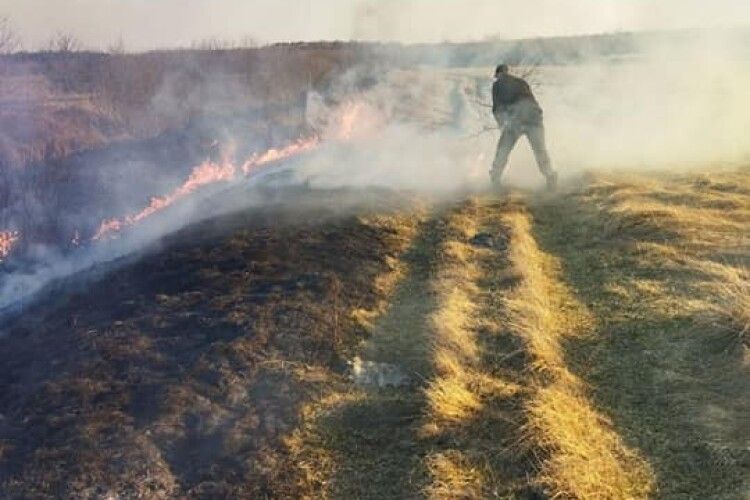 Люди обурені поведінкою земляків: показали, як гасили загоряння сухостою на Любешівщині (Відео)