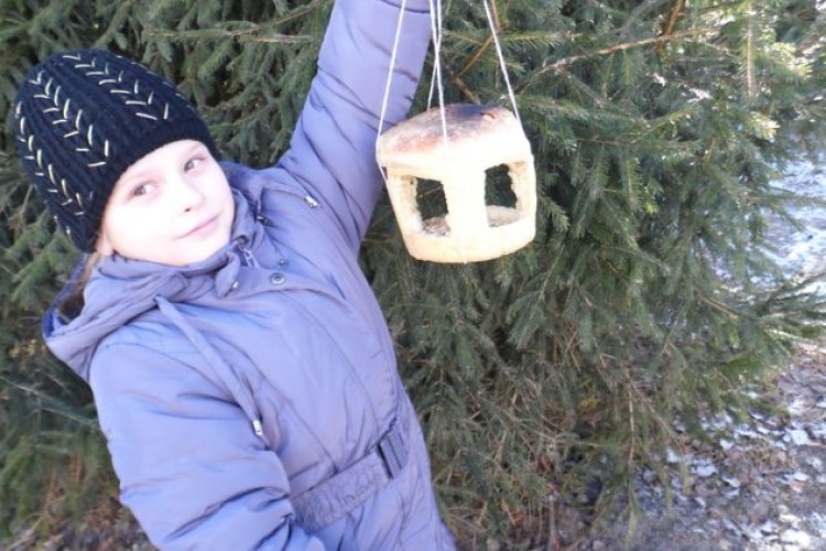  А годівнички бувають... їстівними!