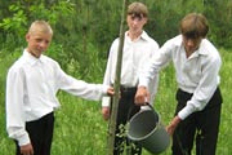 БЛАГОДІЙНІСТЬ: дуб із Німеччини росте у Затурцях