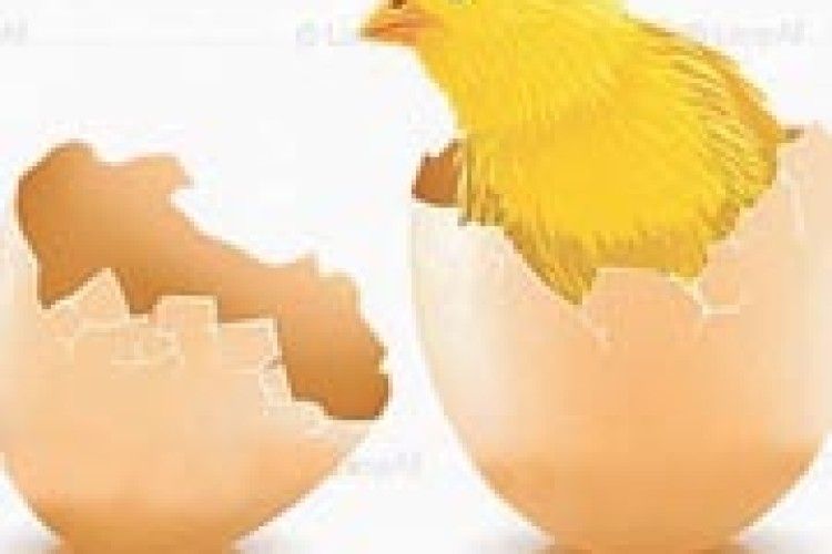 КУРЧАТ РАХУЮТЬ... НАВЕСНІ