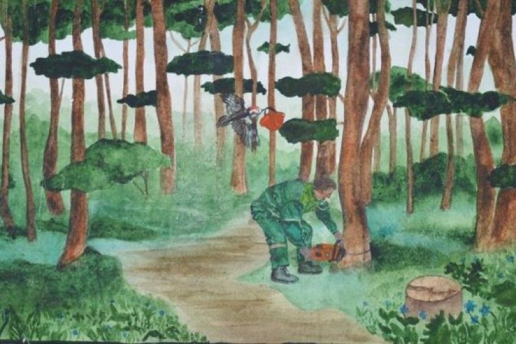 У Луцьку визначили найкращі малюнки про ліс