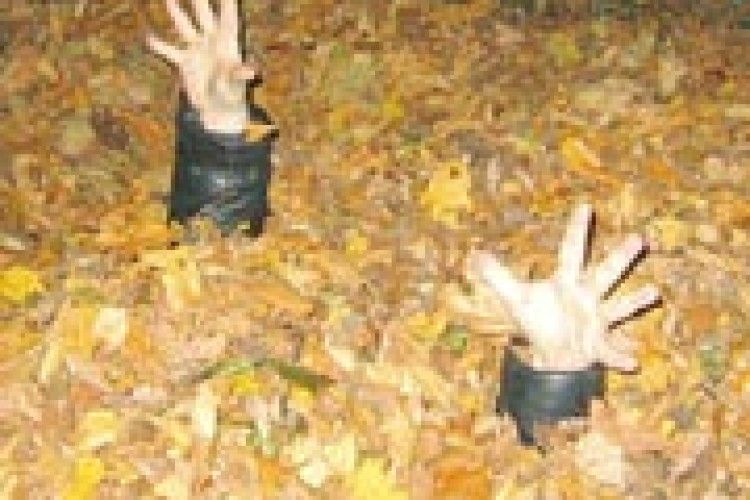 ФОТОЖАРТ: «А мене ви не знайдете!»