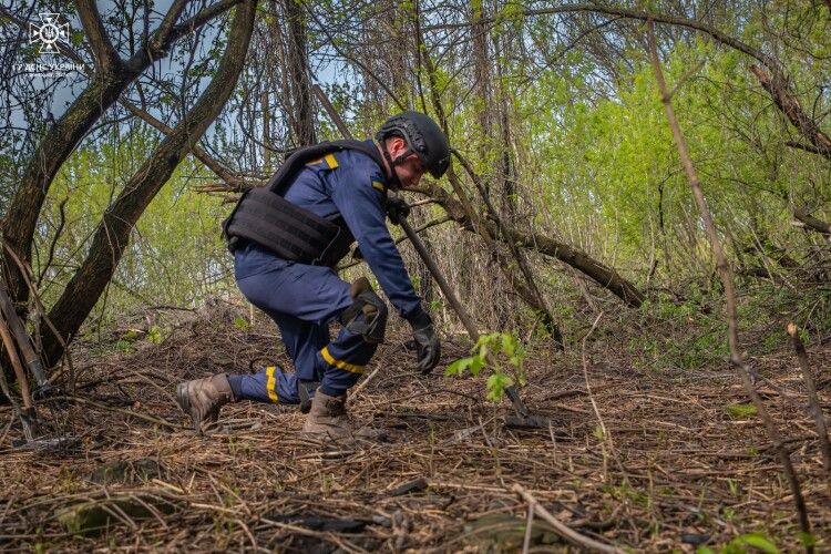 Волинські піротехніки працюють на Донеччині
