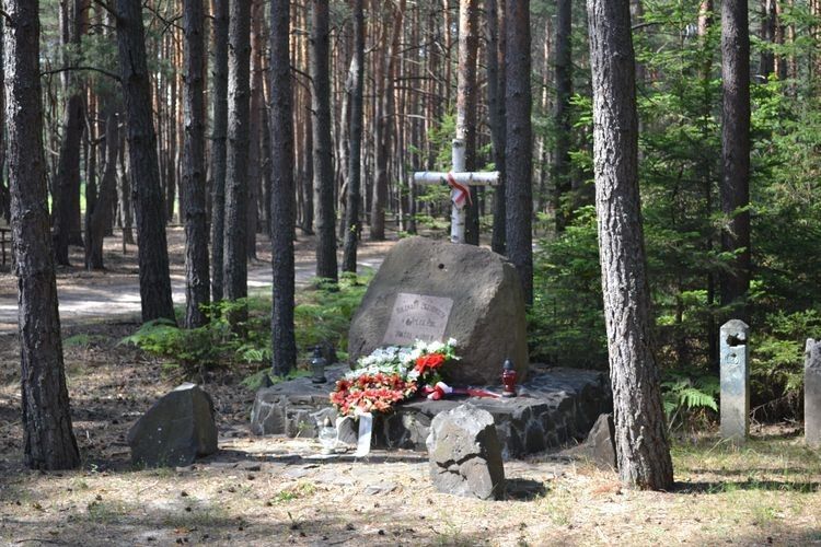 Поляки хочуть меморіал у Костюхнівці