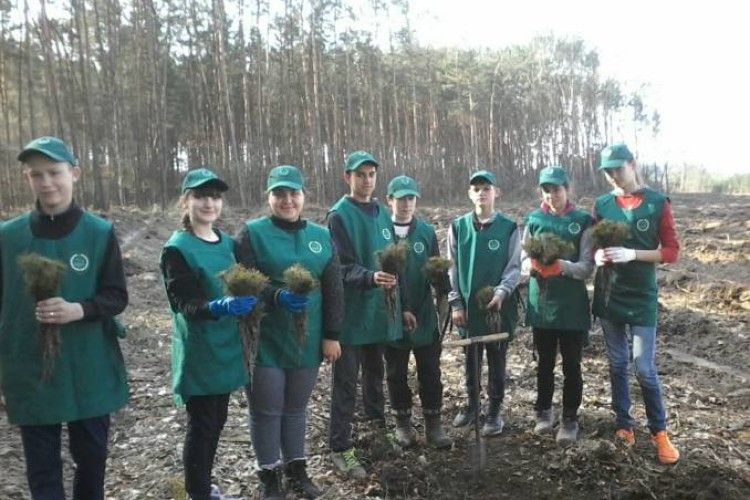 На Турійщині в рамках акції «Майбутнє лісу в твоїх руках» створено 72 га лісових культур!