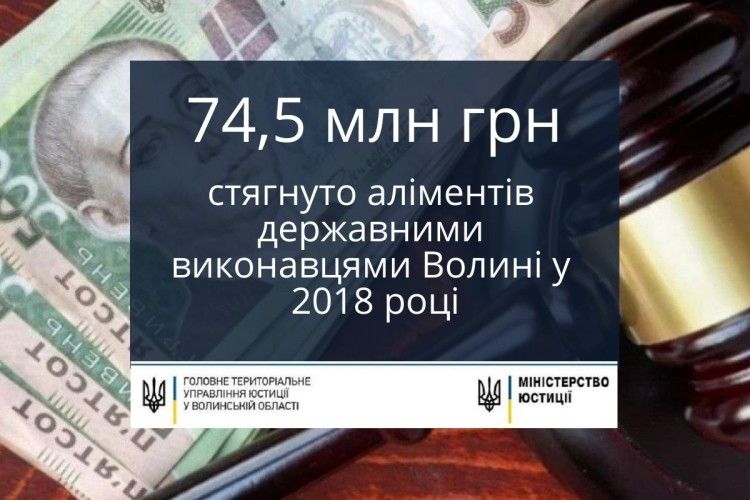 Державні виконавці Волині «вибили» з боржників 74,5 мільйони гривень