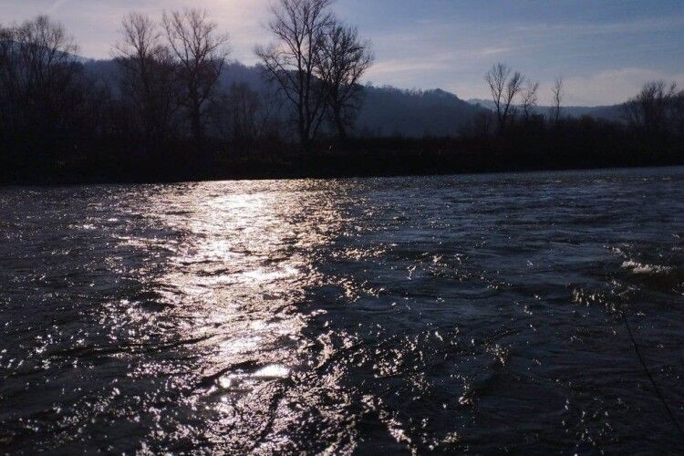 У річці Тиса прикордонники виявили тіло потопельника (Відео)