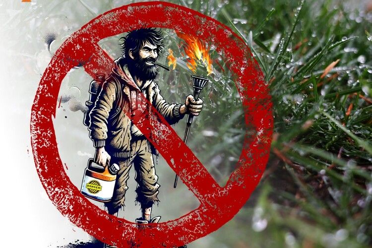 Унікальний день: сьогодні на Волині жодного разу не горіла трава