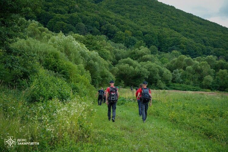 На Закарпатті 73-річний грибник, якого шукали три доби, сам прийшов додому