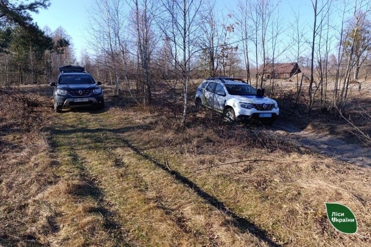 На Волині затримали лісових злодіїв під час незаконної рубки