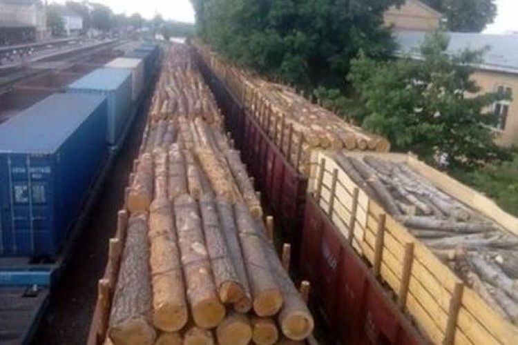 Волинські митники не пропускають через кордон деревину довжиною понад 2 метри 